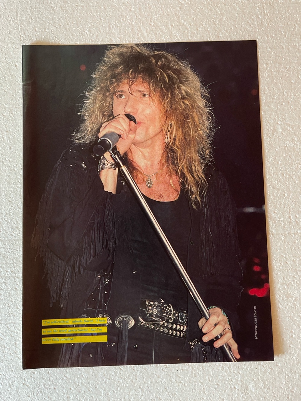 Whitesnake David Coverdale pinup